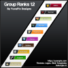 Group Rank 1.2